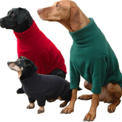Dog Jumper Thumbnail